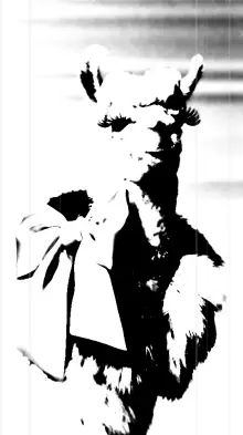 Llama