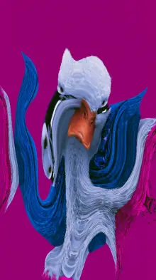 Swan