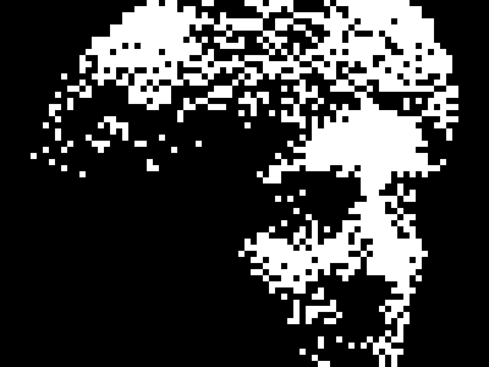 PIXEL 12: blocks you could count, the face reduced to a few dozen of them