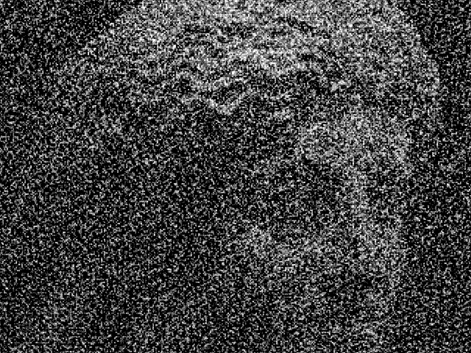 AMOUNT 1: grain heavy enough to read as the surface itself