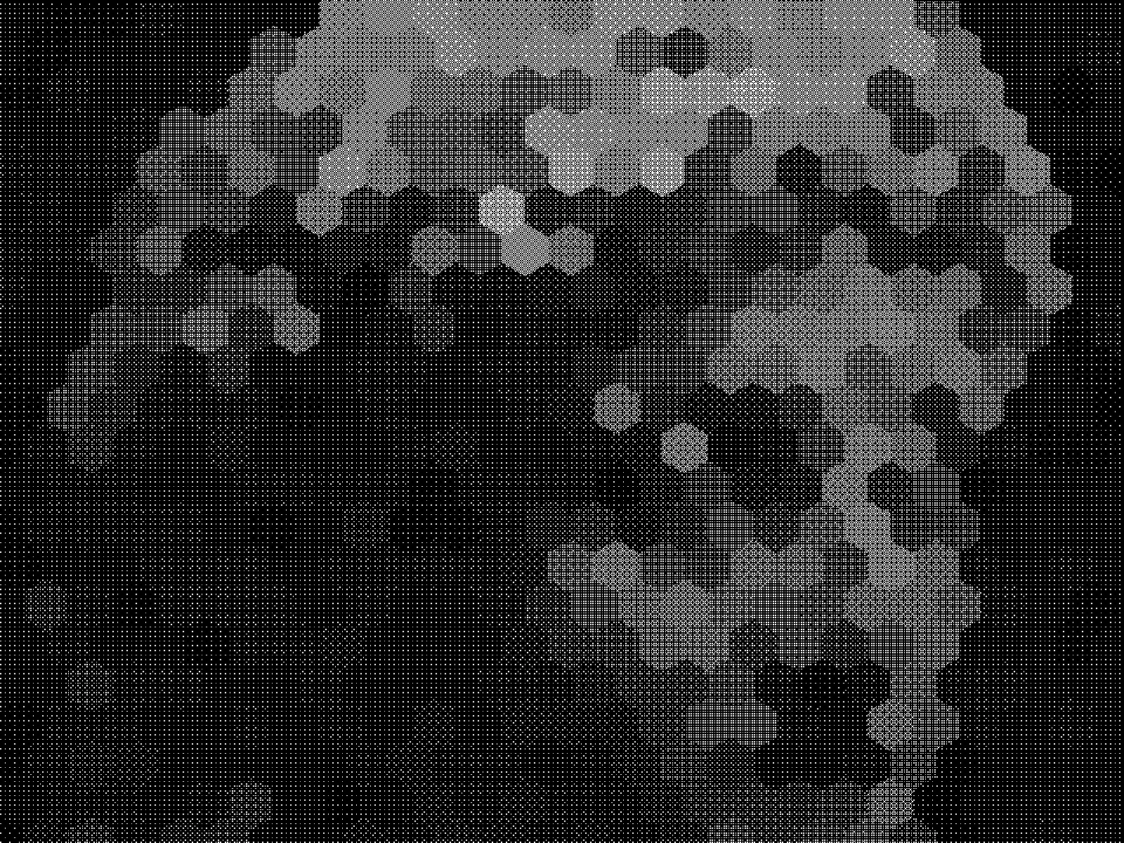 CELL 39: very coarse cells, the subject in a few dozen hexagons