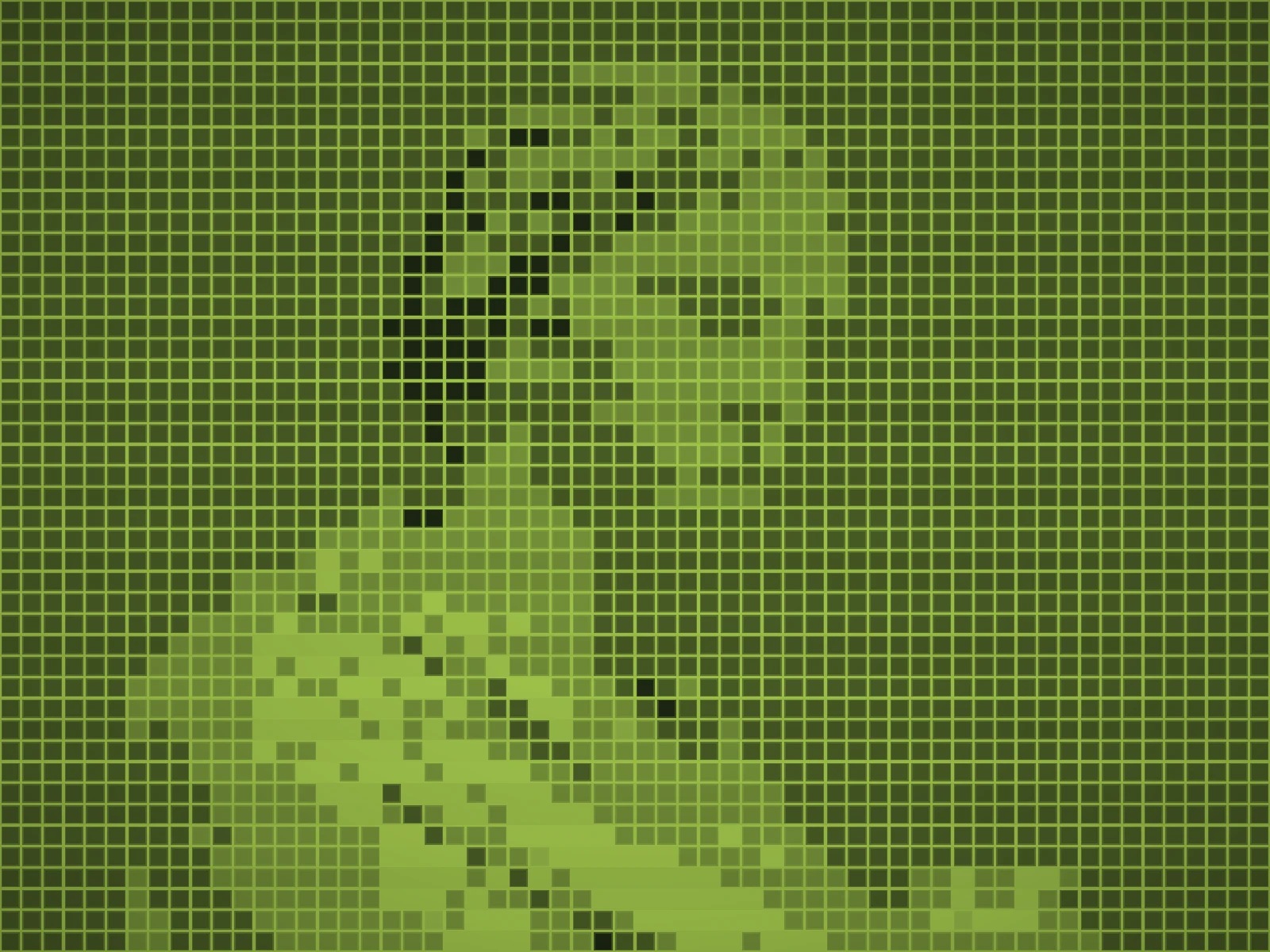 PIXEL 8: the coarsest grid, the subject in very few cells