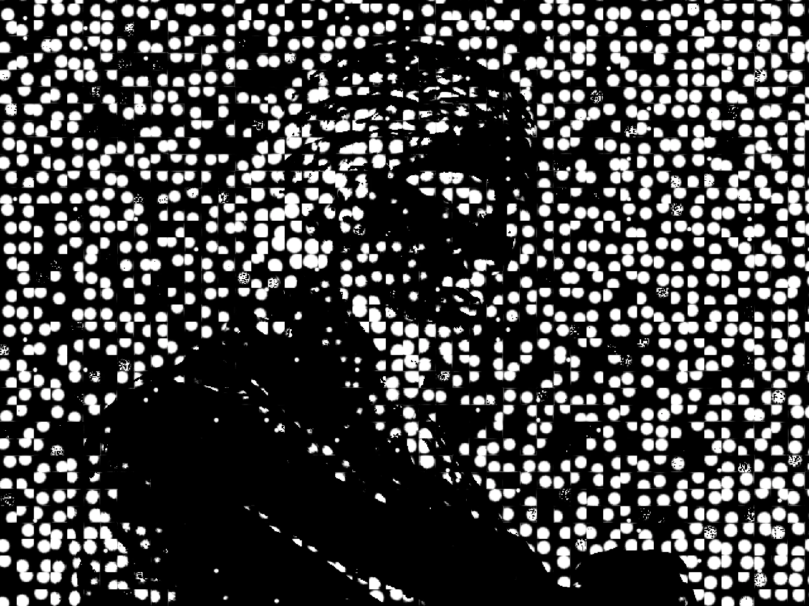 DENSITY 20: dense particles, the field approaching a continuous image