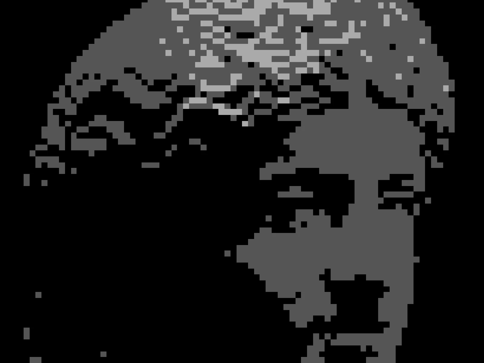 BLOCK SIZE 3: the default, fine detail gone but the face still legible