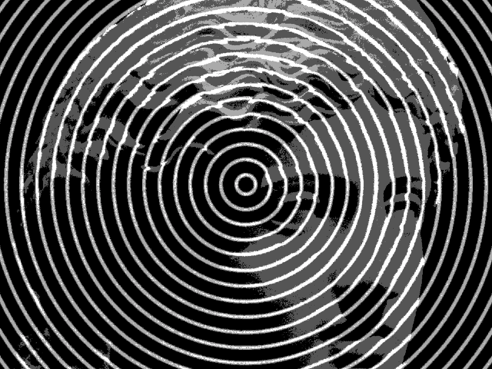 FREQ 4: the default, a few broad rings crossing the frame