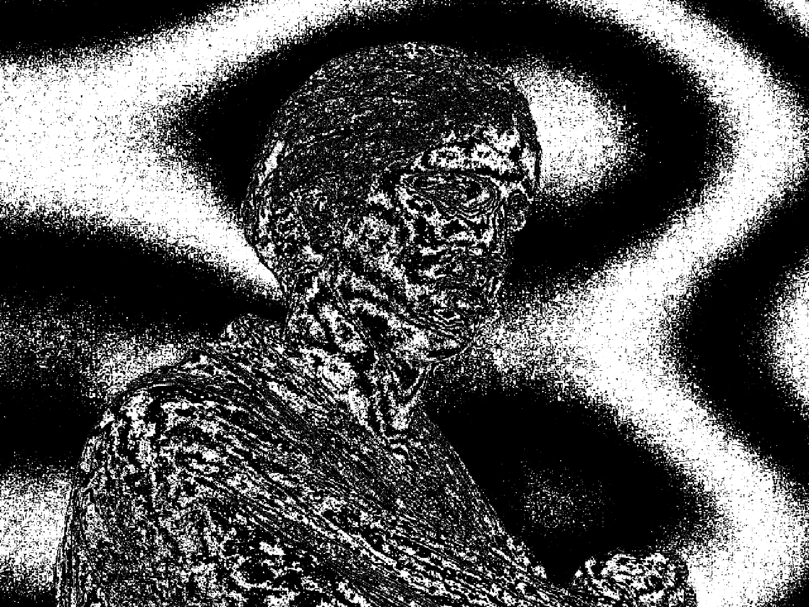 WARP 3: the default, contours clearly following the subject