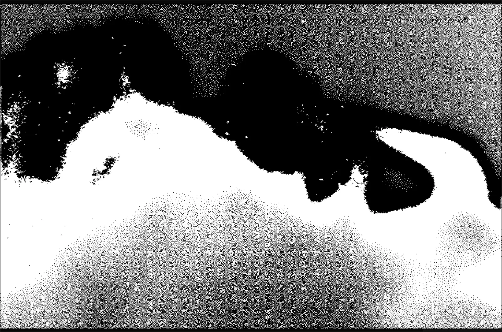 1-bit diffusion dither of the ink-flower frame: pure black and white grain.